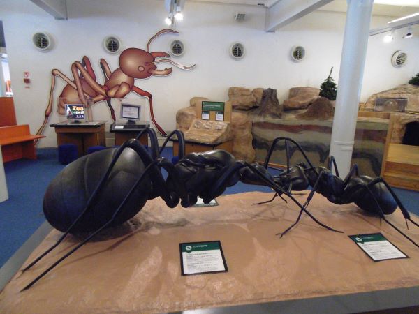 big ant statue