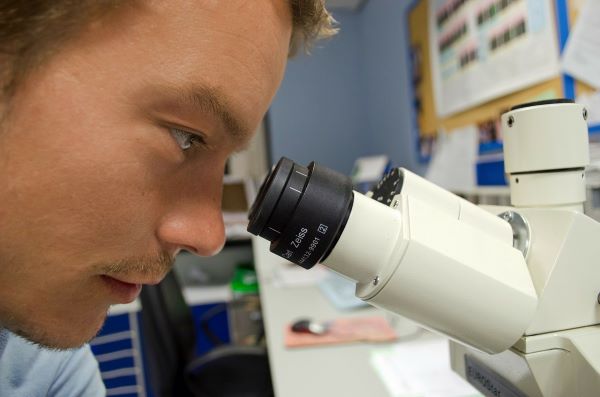 lab guy looking into a microscope