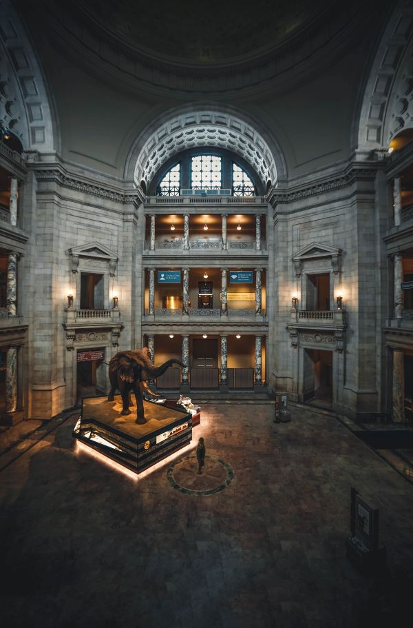 nighttime in the museum